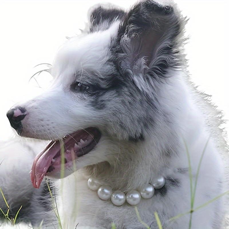 

Dog - Pet Necklace For Small To Breeds, For Parties &