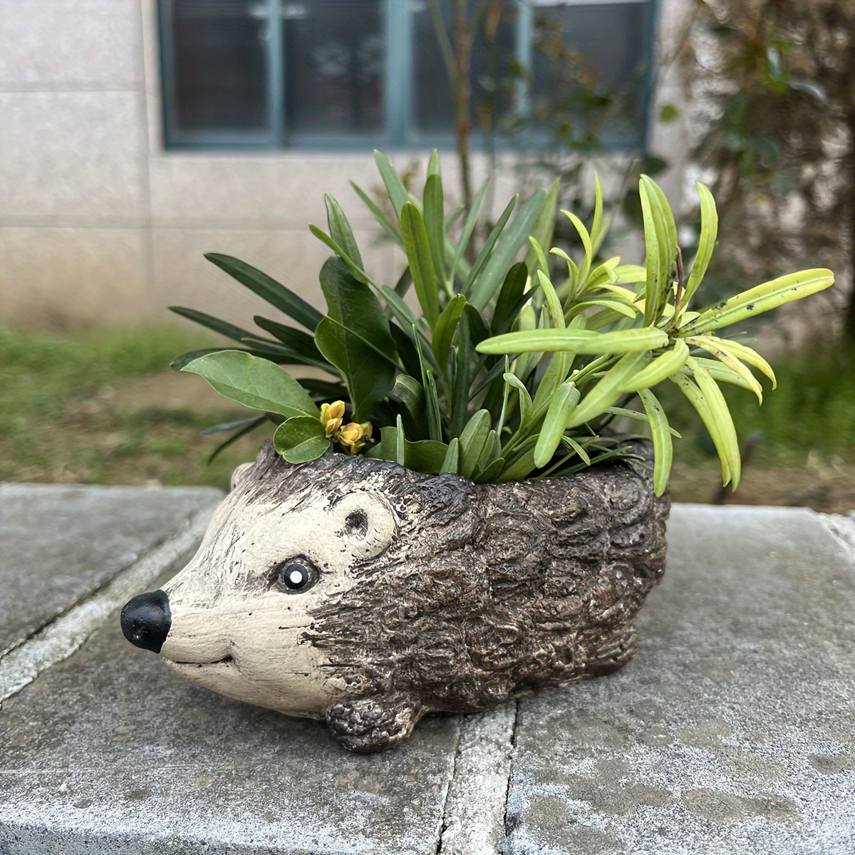 

Statue de hérisson pour plante, Pot de succulente en résine unique en forme d'animal, Style artistique décoratif, Décoration de jardin et de patio, 6.1 x 3.8 pouces