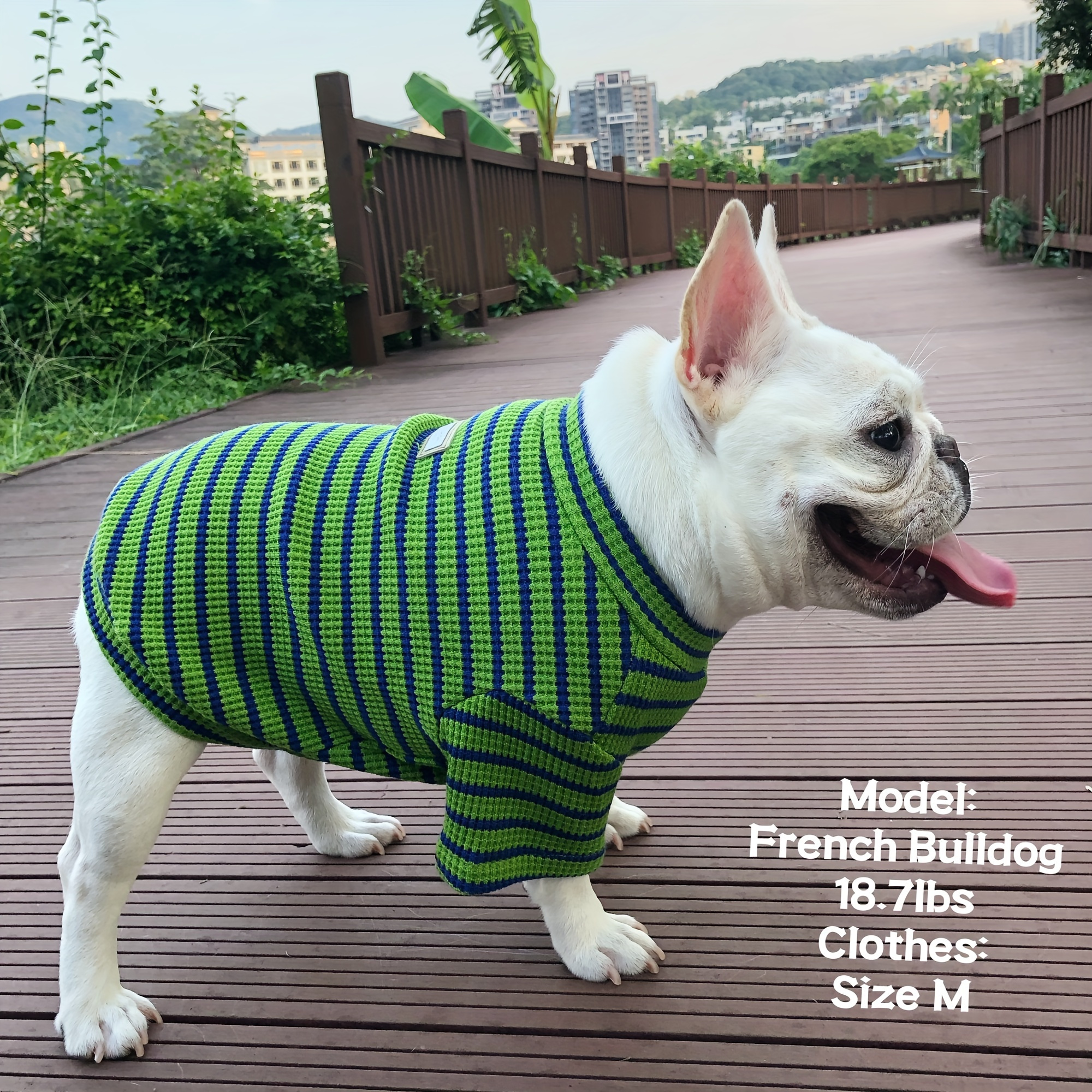 French bulldog clothes clearance size