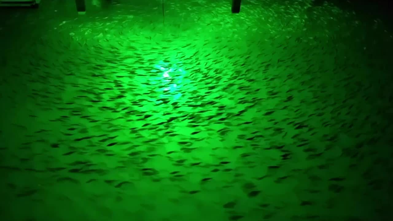 OUKENS Lumière De Pêche en Profondeur, Lampe De Pêche sous-Marine à LED  Super étanche, Lumière Attrayante en Profondeur pour Leurre De Pêche De Nuit