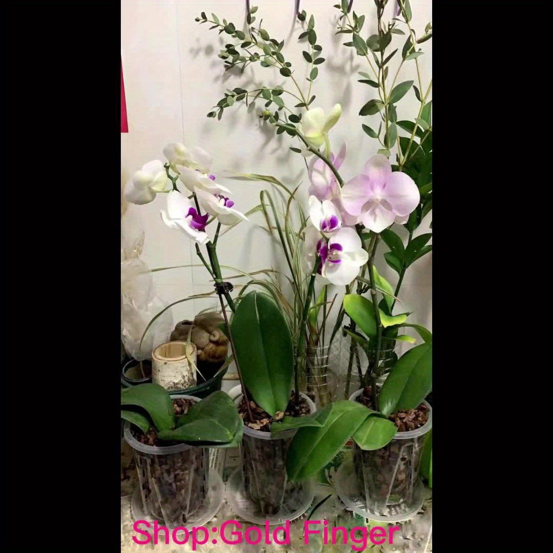 1 Ensemble/3 Pièces, Pot De Fleur Spécial Contrôle Des Racines Pour  Orchidée, Pot Transparent Pour Orchidée, Nouveau Pot De Plante Verte, Pot