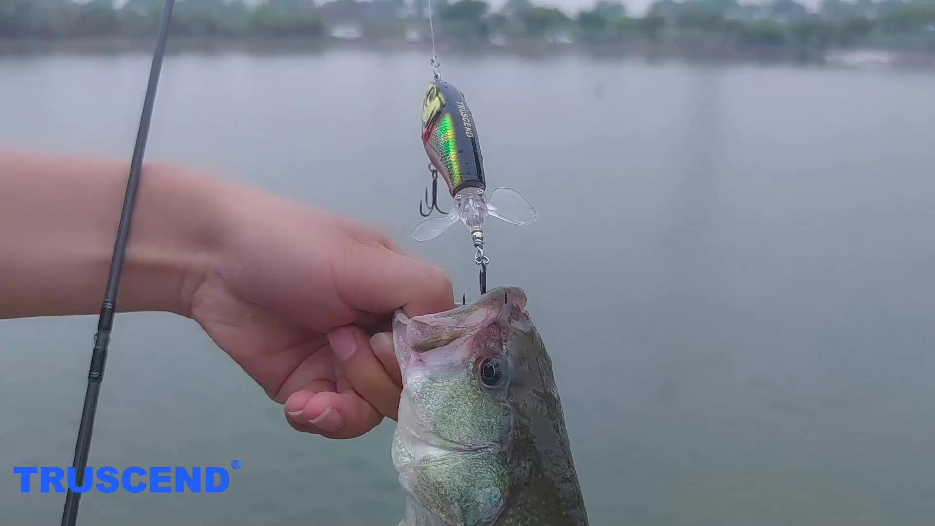 Pencil Plopper Fishing Lures: Catch Bass Catfish - Temu