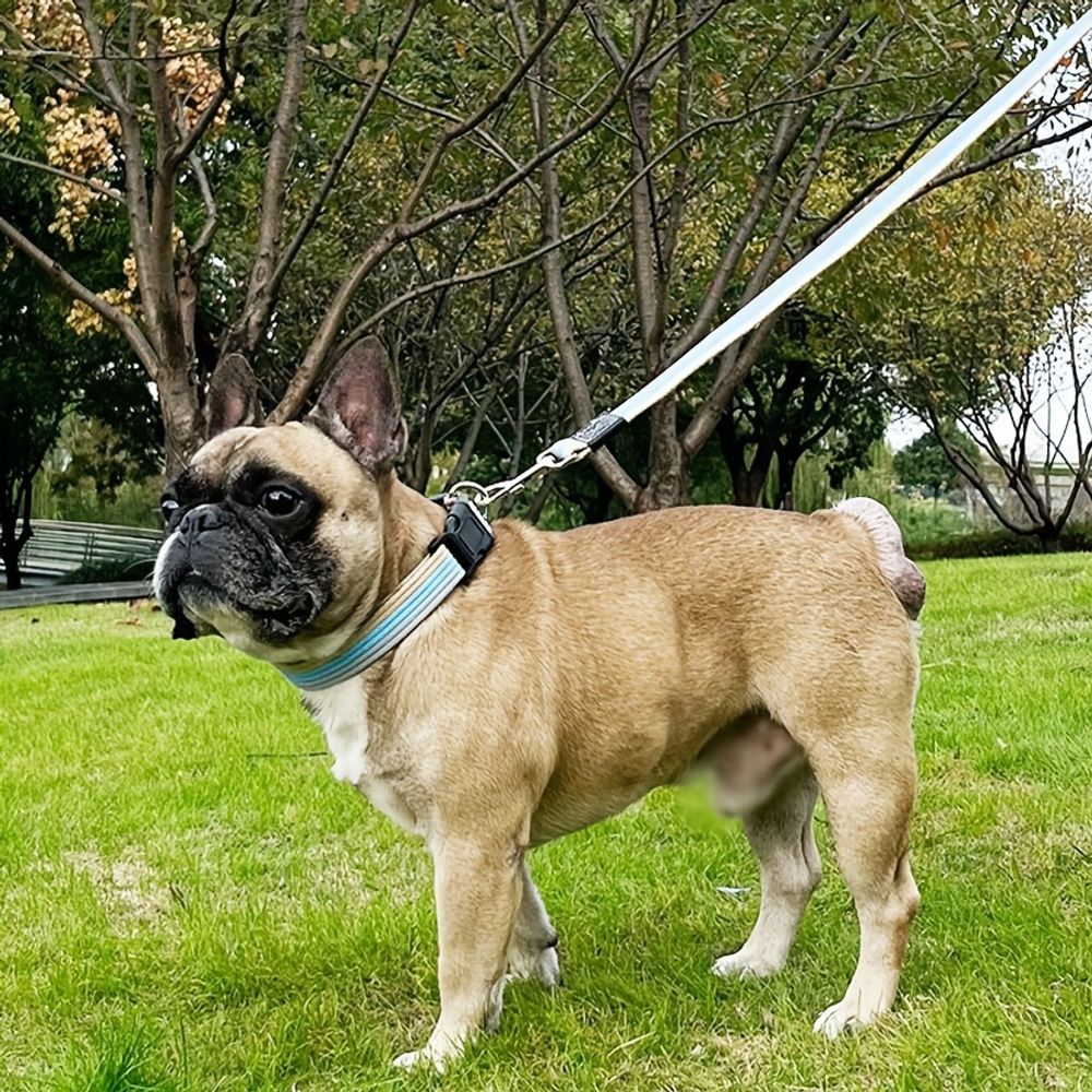 Thickened Pet Canvas Traction Rope for Dog Training