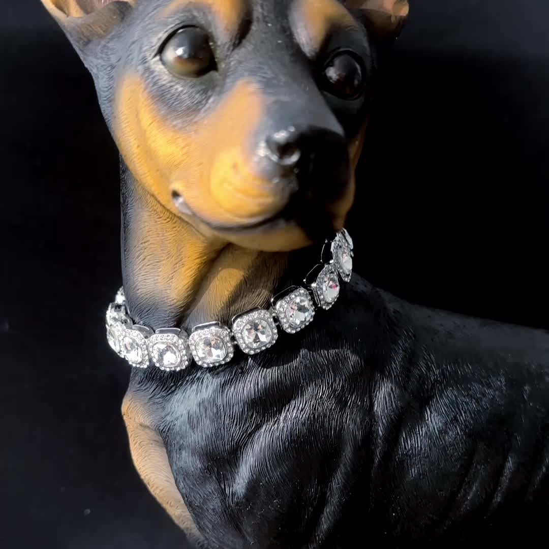 Doberman diamond outlet collar