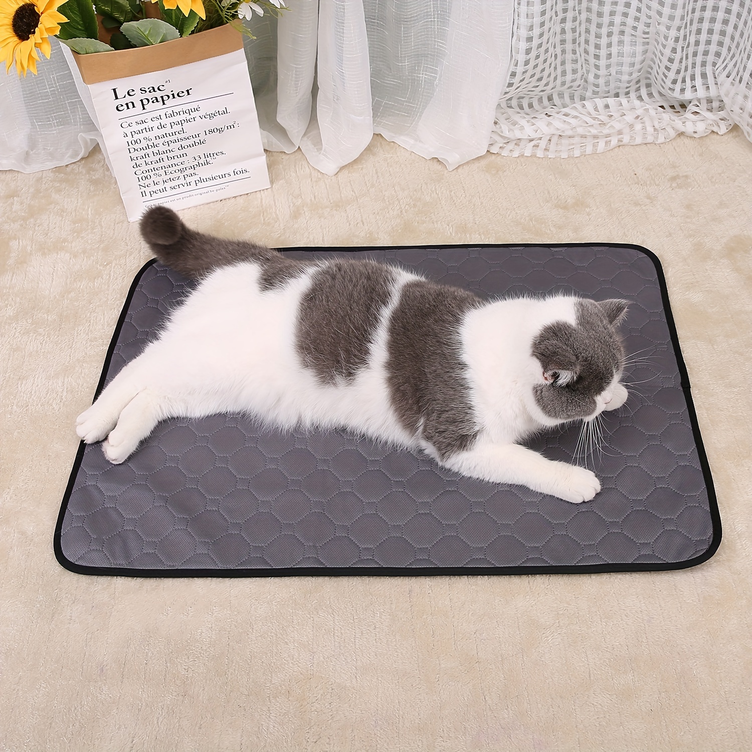 https://img.kwcdn.com/product/absorbent-pet-mat/d69d2f15w98k18-68f7c388/Fancyalgo/VirtualModelMatting/e6ba239b5da02233200e2a6cdd020227.jpg