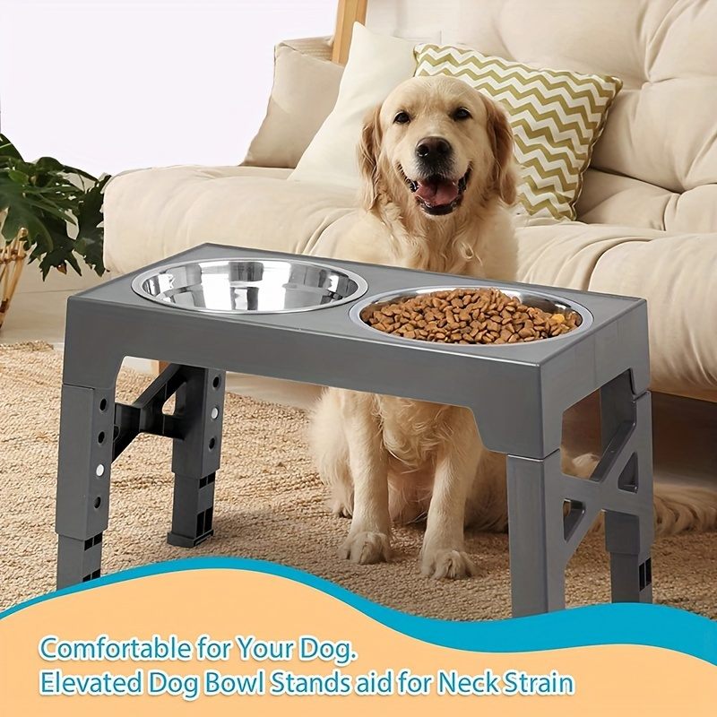 Dog bowl outlet food