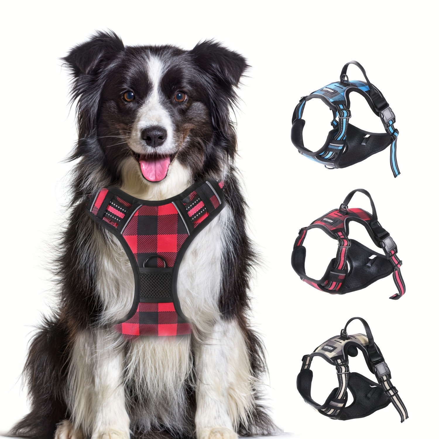 Men's Pet Accessories, Designer Dog Leash, Harness & More
