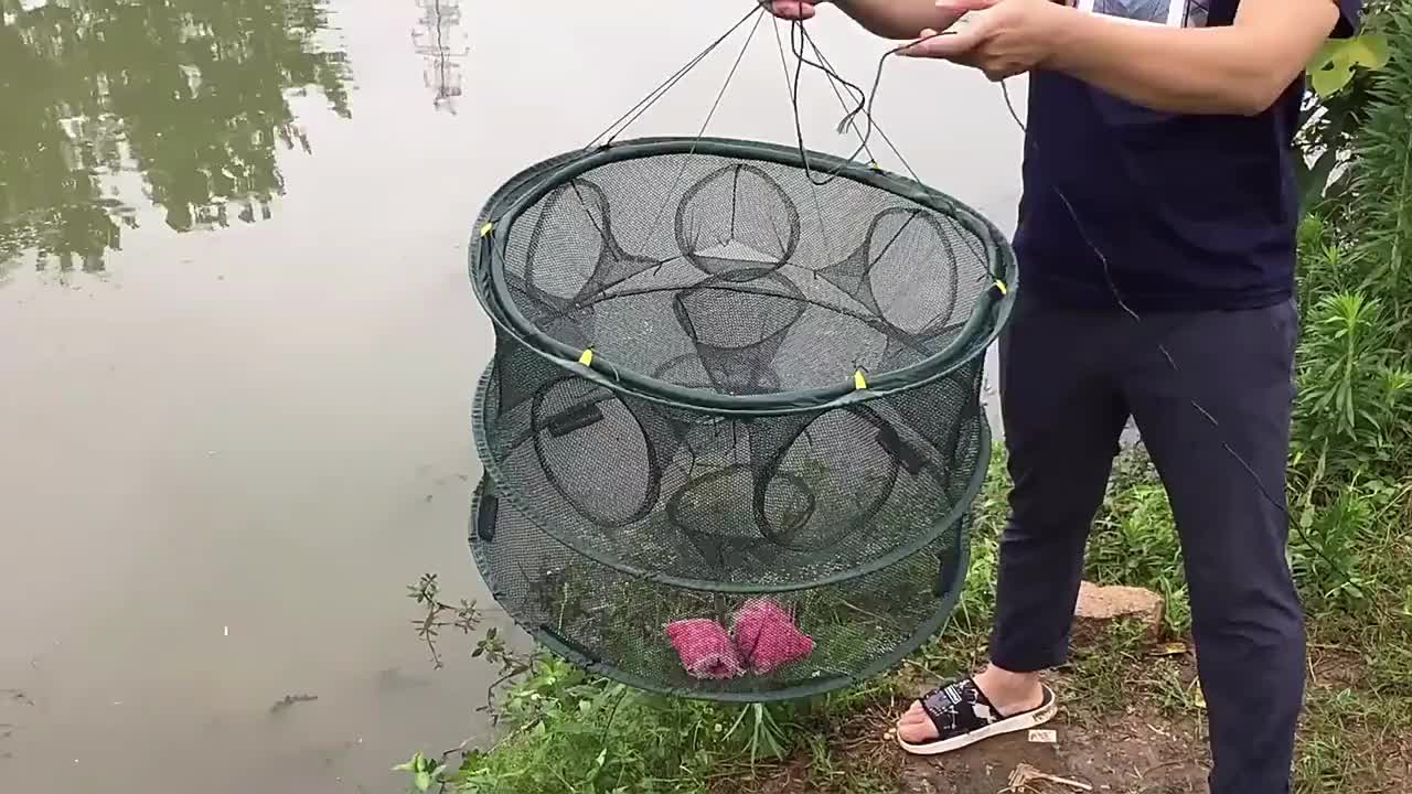 Durable And Load-bearing Folding Fishing Bait Trap - Portable Foldable  Shrimp Cage Fish Trap Net For Crab And Crayfish - Temu Kuwait
