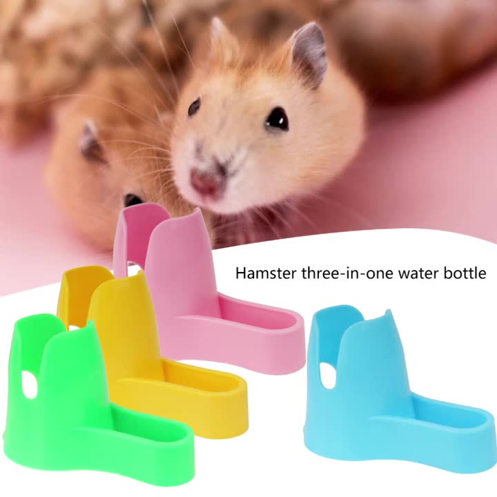 Water Bottle Holder : Hamster Water Bottles: Rabbit & Small Animal