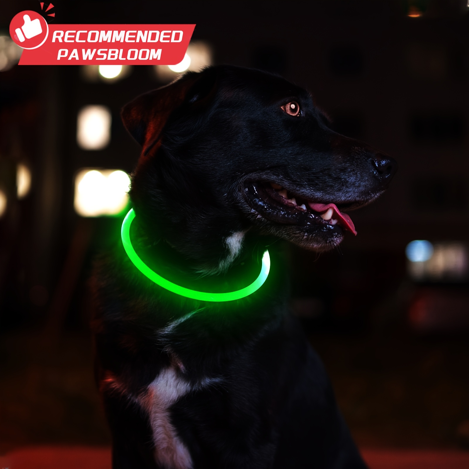 USB Rechargeable LED Dog Collar for Pet Safety
