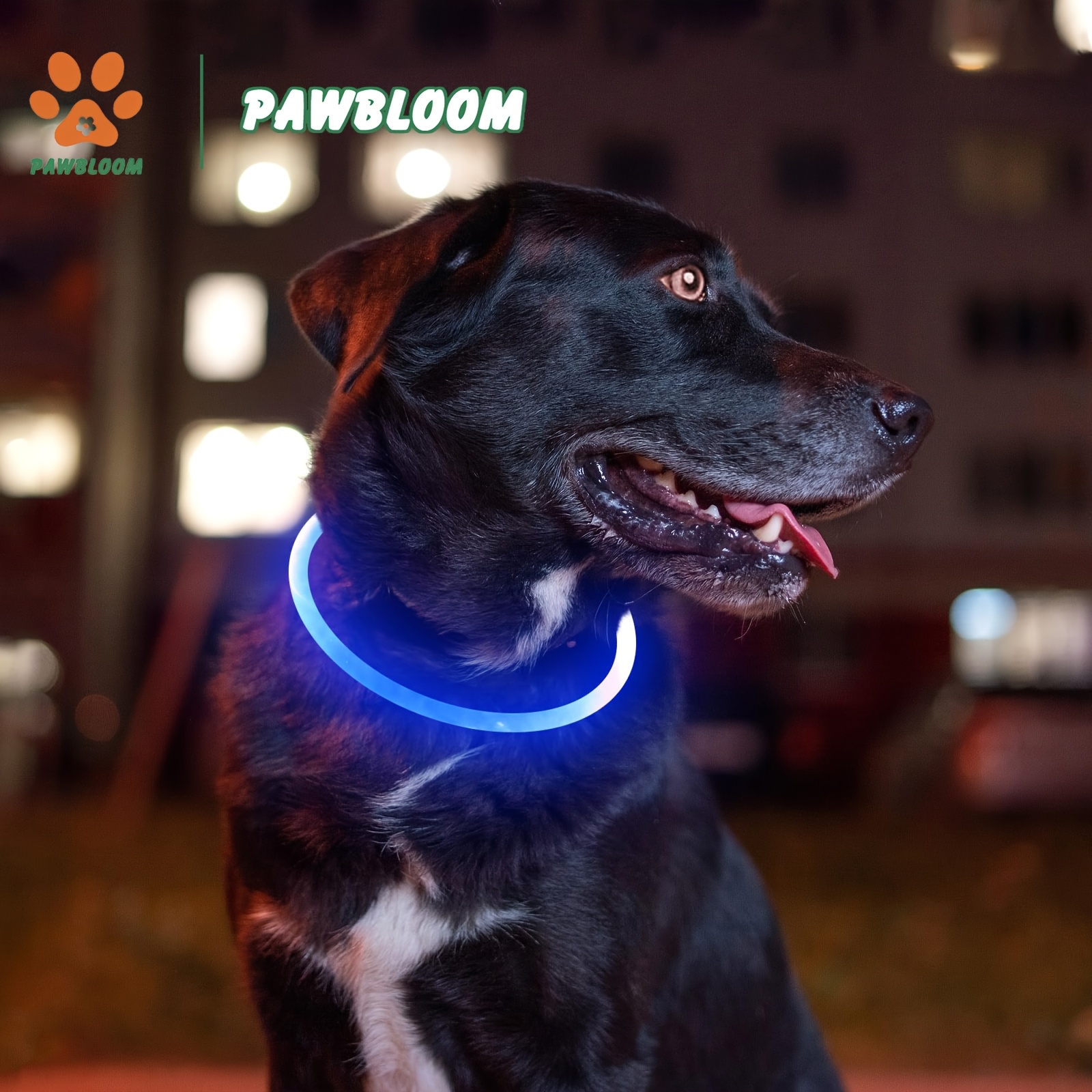 USB Rechargeable LED Dog Collar for Pet Safety