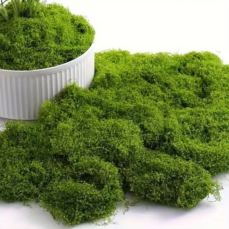 TEMU 100g Lifelike Artificial Moss For Diy Crafts & Home Decor - Plant Accent, Ideal For Indoor & Wedding Decorations