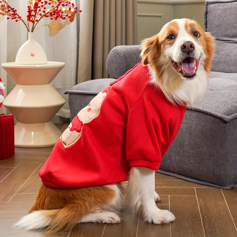 Golden Retriever Dogs In Christmas Jumpers Golden Retriever