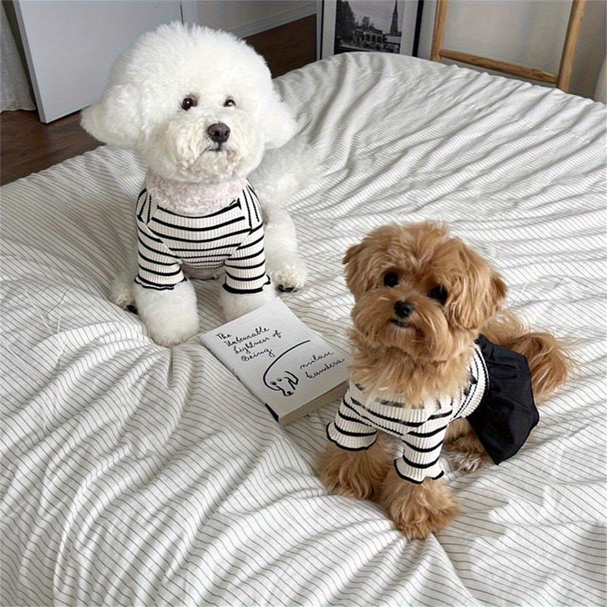slim fit dress slacks Prairie Dog Dress by Parisian Pet main image 0