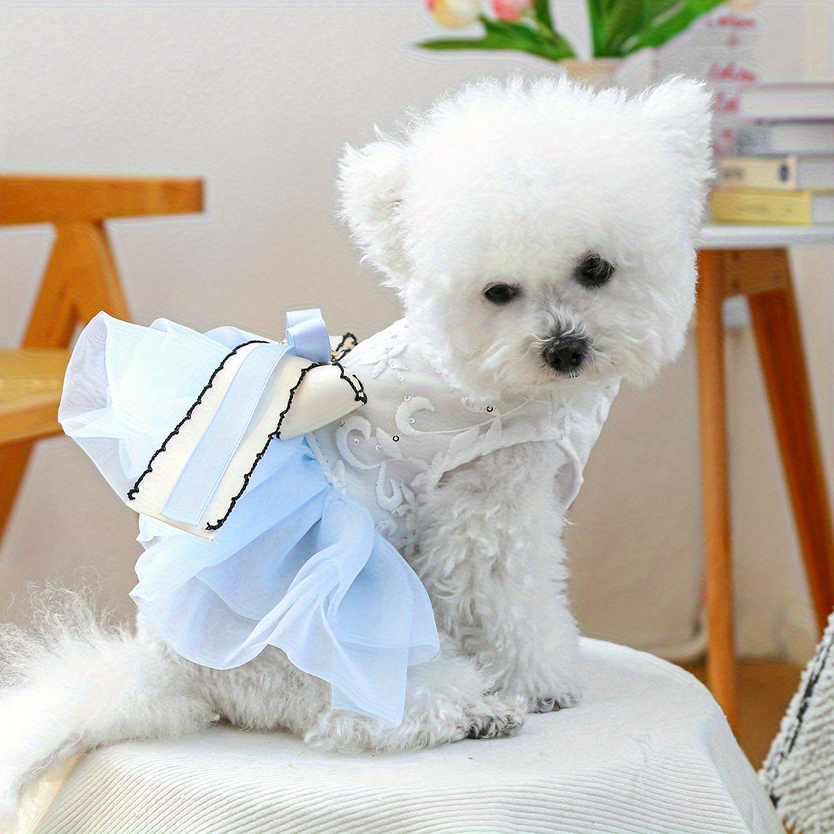 sachin and babi light blue dress luxury dog clothing