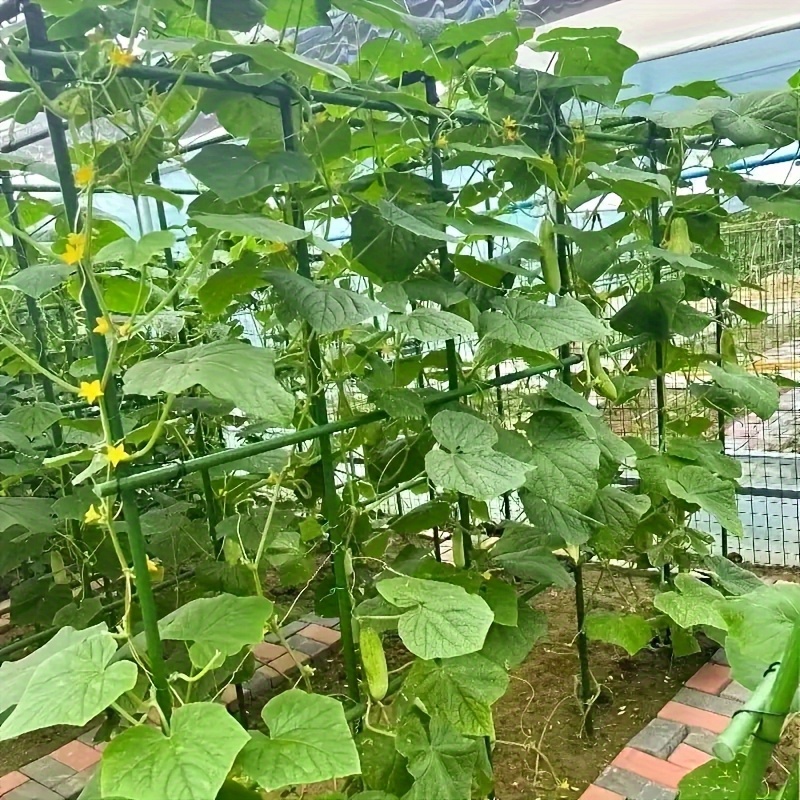 8pcs 0 8cm plant support gardening package plastic steel pipe cucumber tomato loofah support climbing pole package plastic support send 6pcs hanging seedling clip