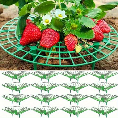 20 50pcs heavy duty strawberry watermelon planting rack garden support frame with 3 sturdy grid drainage system space saving crop stand suitable for berries patio indoor outdoor gardens easy assembly