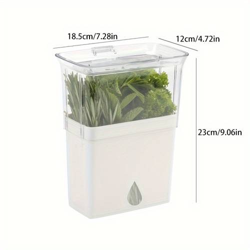 vegetable fresh keeping storage box herbal container for preserving bottled herbs suitable kitchen essentials