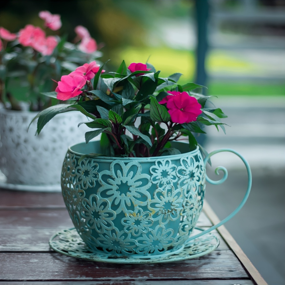 mini plant Assorted Foliage
