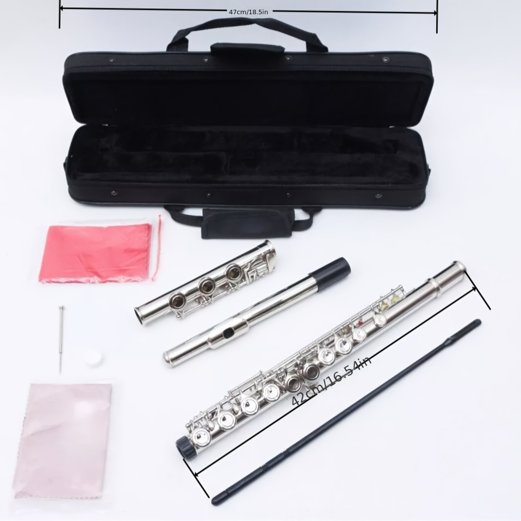 flute case sold on Temu United States
