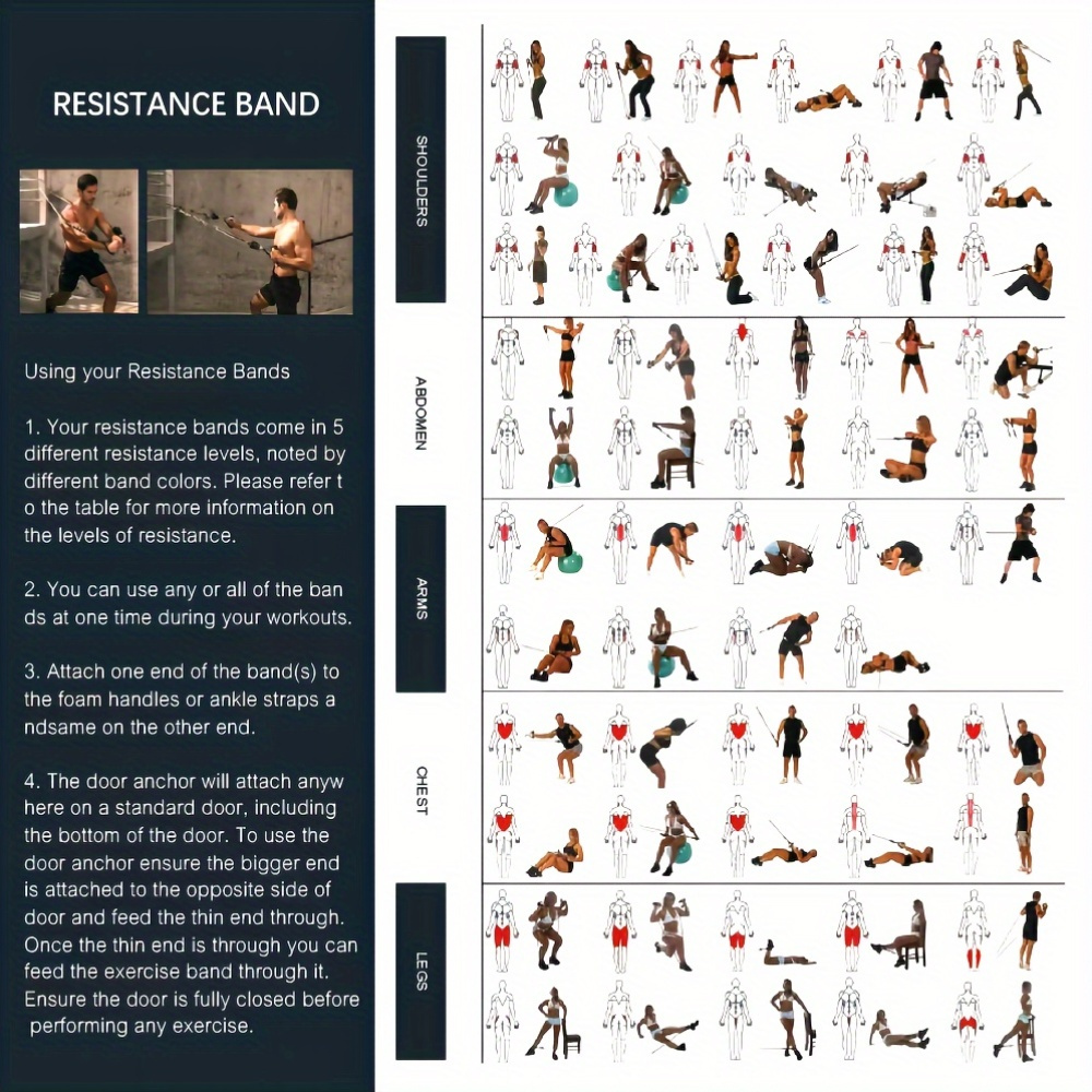 Workout Chart Male Resistance Band Workouts Gym Men's