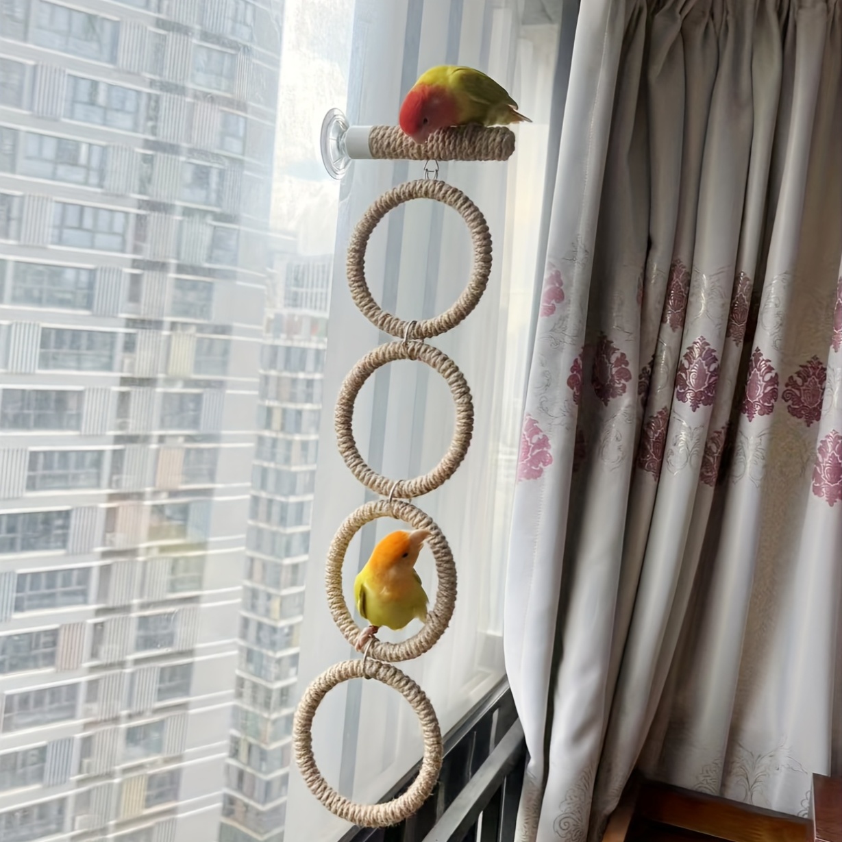 Parrot Climbing Cloud Ladder with Suction Cup