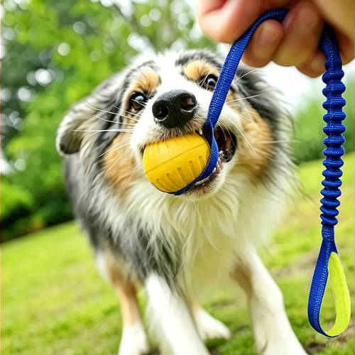 item picture durable dog ball with harness interactive fetch tug toy floating dog toy for medium large breeds without battery