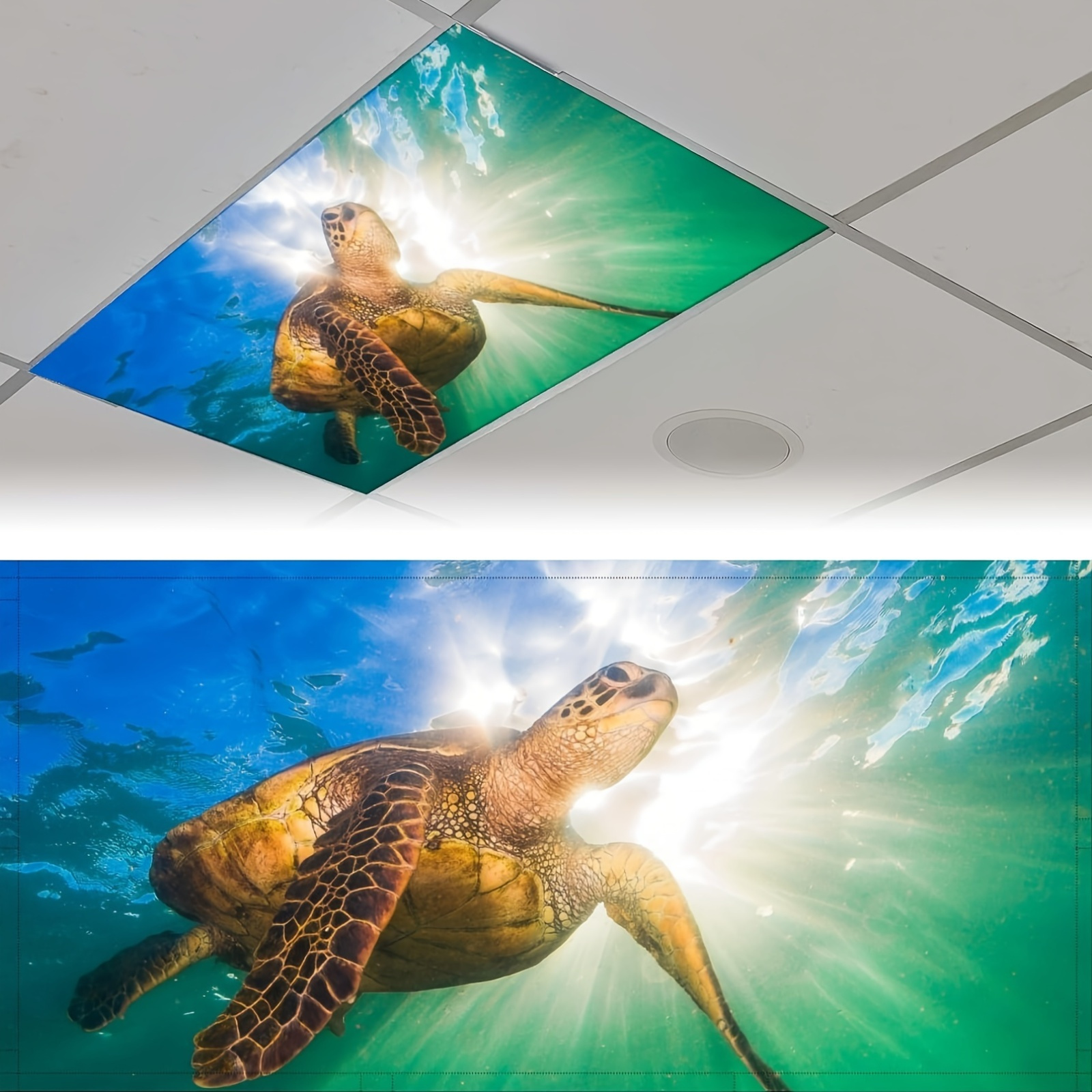 Fluorescent light covers sales