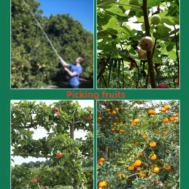 heavy duty adjustable fruit picker with extendable pole 3 claw grips extendable harvesting tool for   garden tree compatible with   cherries tomatoes durable metal construction for professional home use   equipment   design reliable mechanism harvesting device farming professionals Product details 5