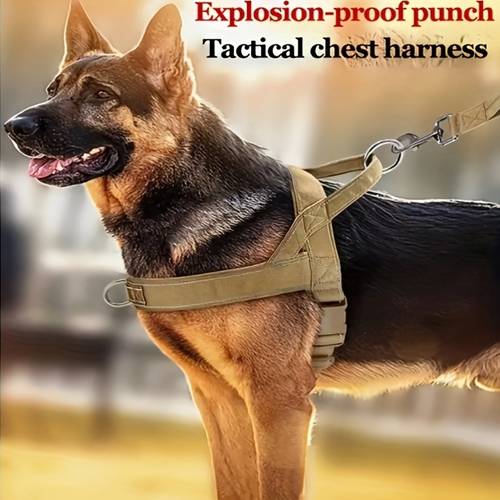 pet dog leash protective chest strap pet big dog multi golden retriever german shepherd vest walking dog leash leash leash outdoor leash