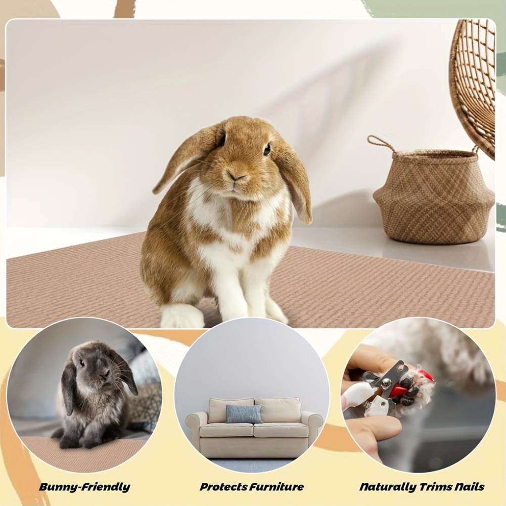 6aac7a84303e5b2709dfc71cb433c254 1762855265953