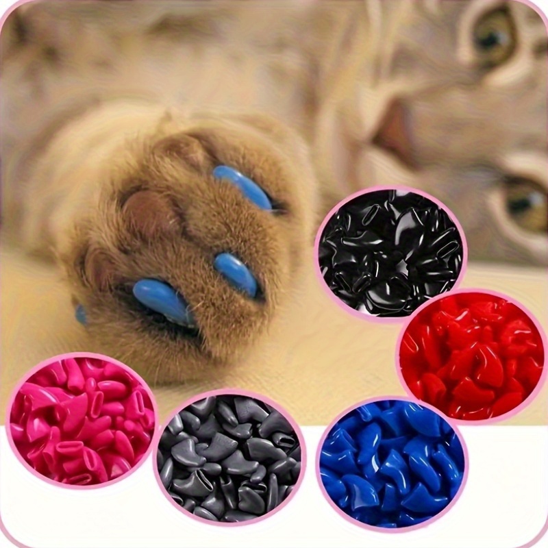 Will Pet Groomer Apply Cat Caps? Essential Facts Revealed