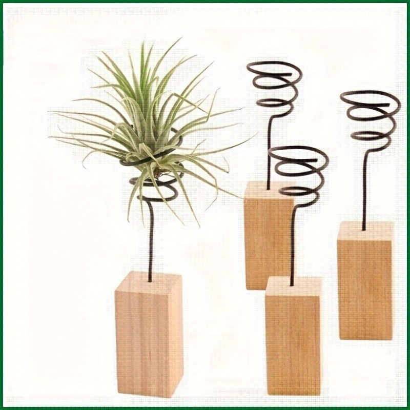 2pcs set style minimalist wooden base air plant - Temu