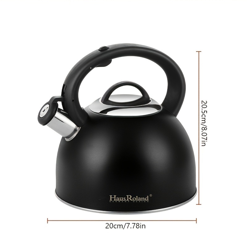 3L Stainless Steel Sound-Producing Kettle for Induction & Gas Stoves