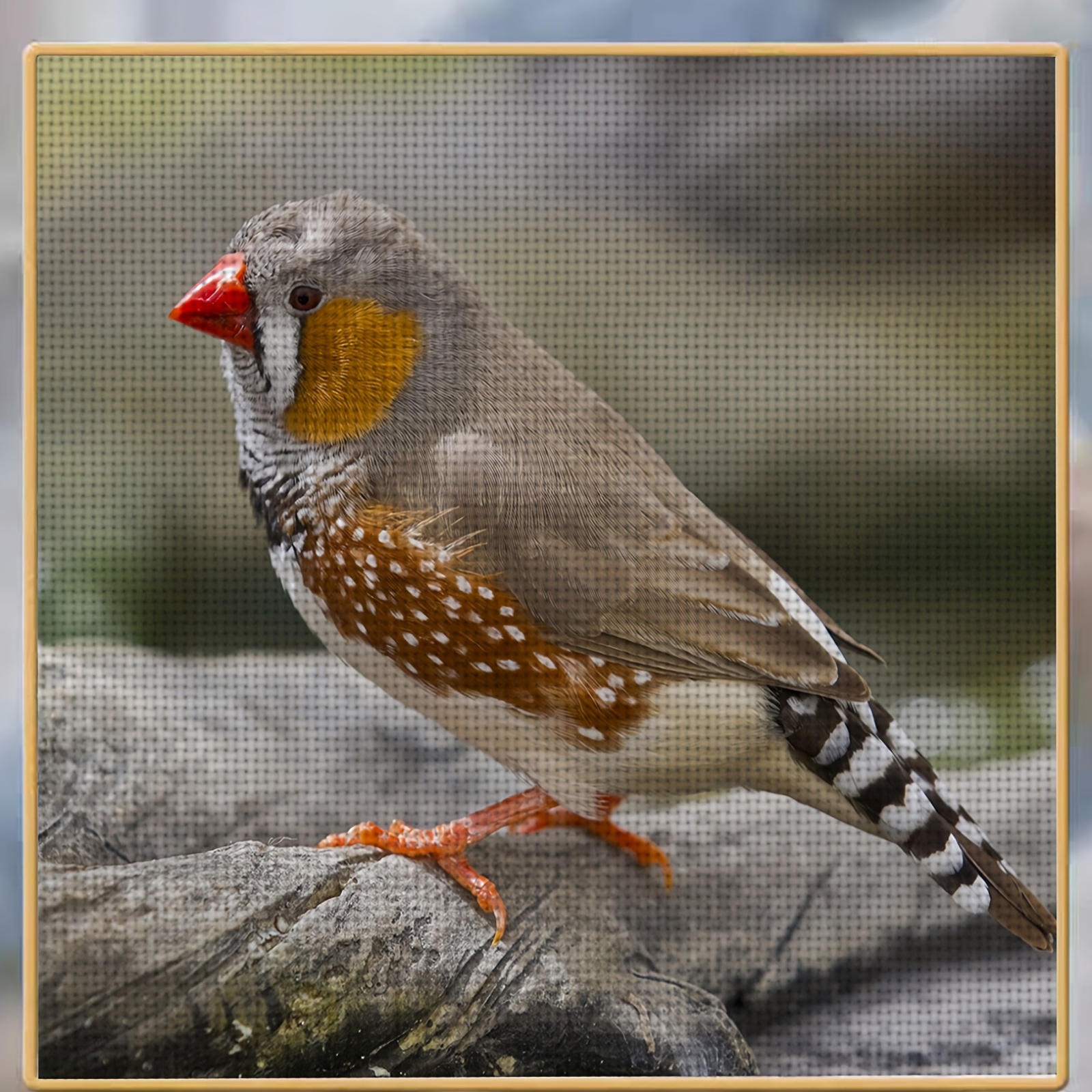 11CT Printed Cross-Stitch Kit, 'Pearl Bird on a Branch', Suitable for Beginners