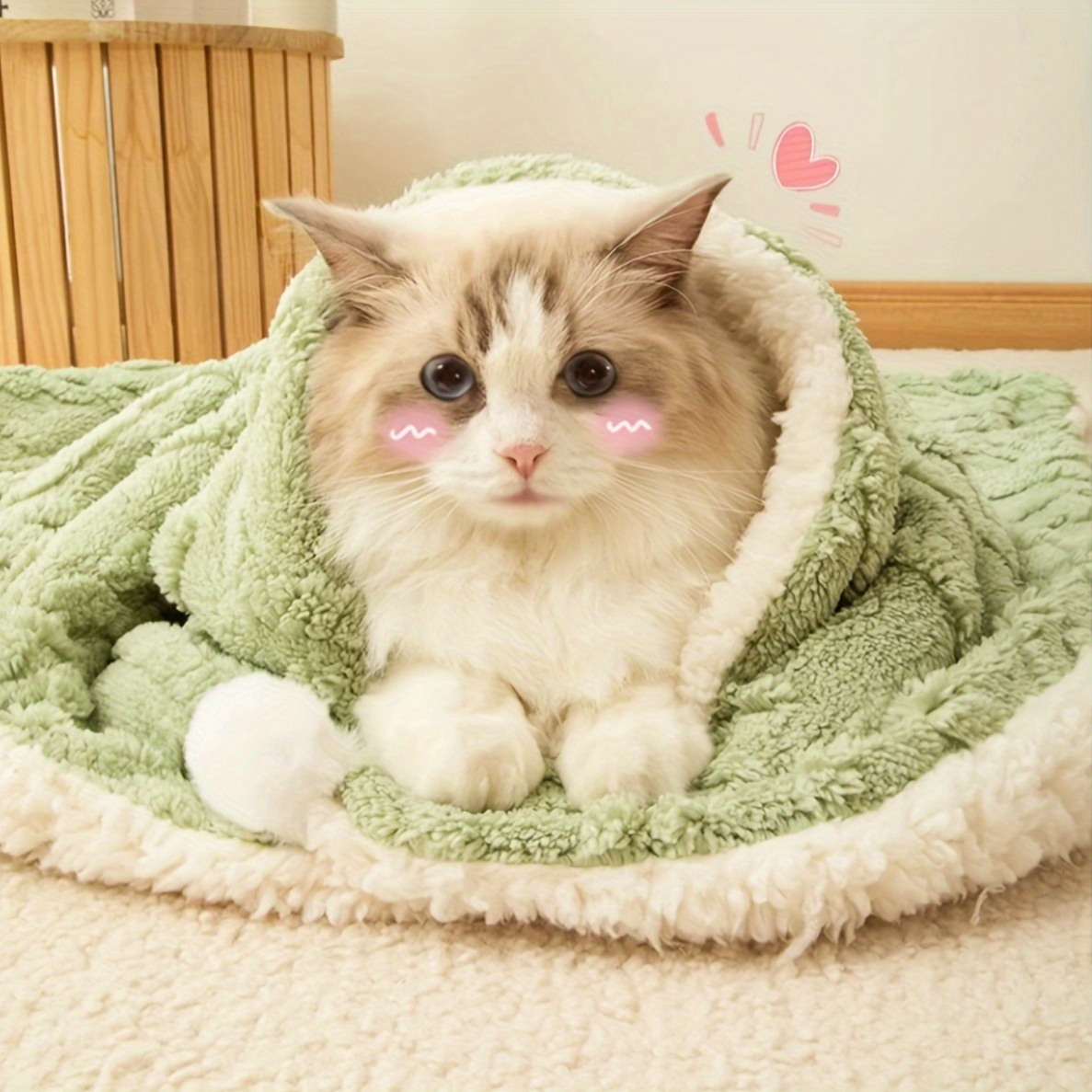 FLUFFY CAT BLANKET for JUNGWON アイボリー 格安 cat blanket features a cute design thick double sided plush - Temu
