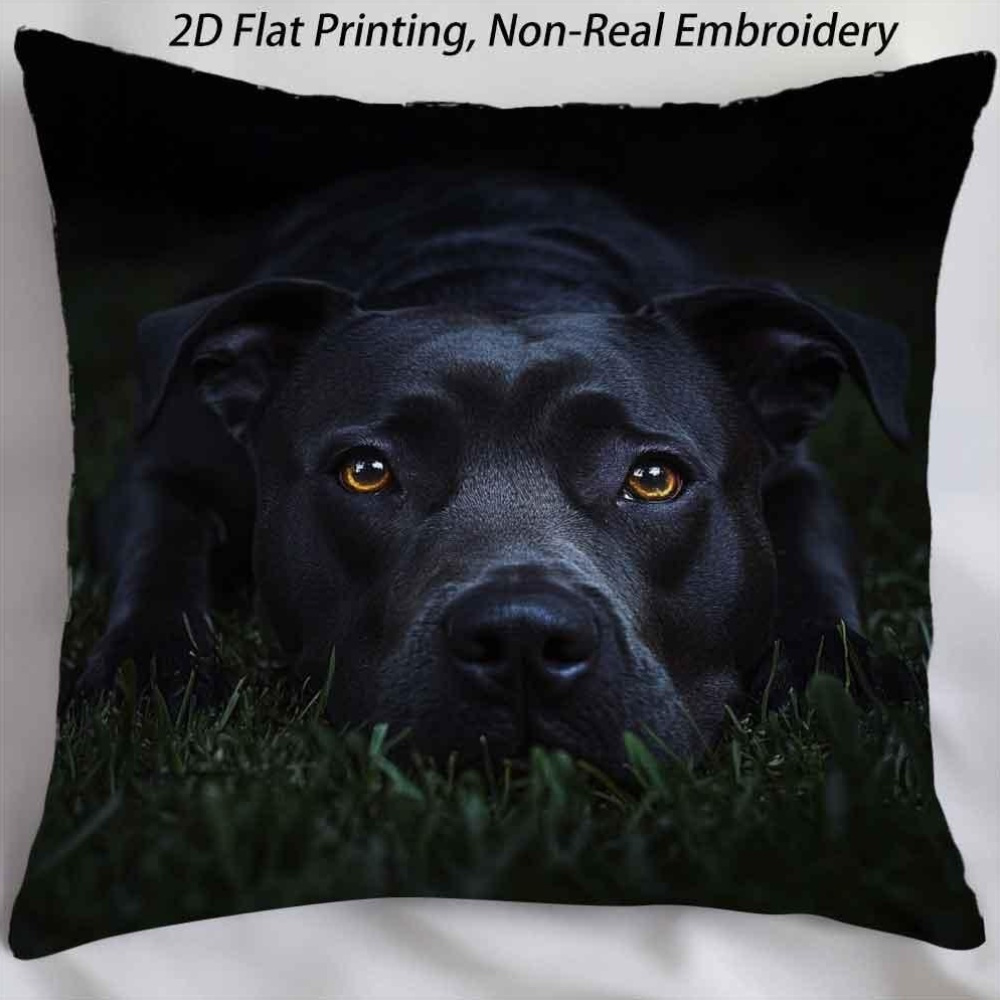 PRODUCTOS_ _POINT temu