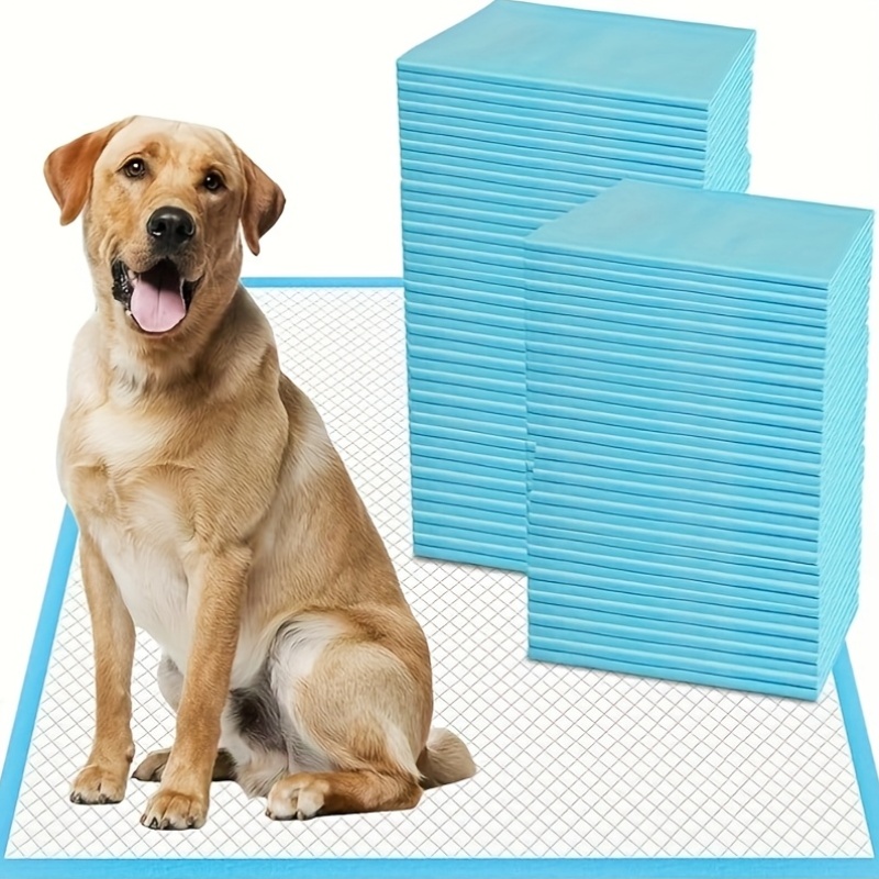 blue and white 400 50pcs dog and puppy urine pads leak proof and quick drying design suitable for toilet training standard water absorption standard size 23 62 23 62 inches