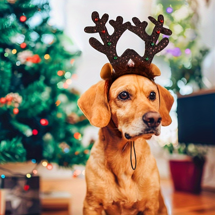 

Christmas Dog - Pet , , 100% Polyester