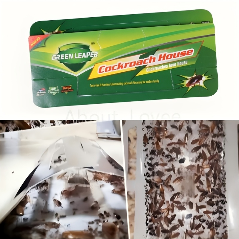 roach traps sold on Temu United States