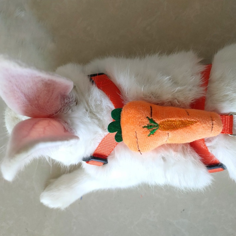 A5cea0d45e2bf7c4af426ba8190e0d4b 1755166150208