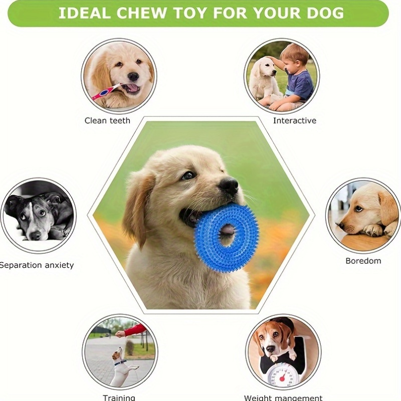 juguetes masticables duraderos en Temu Uruguay