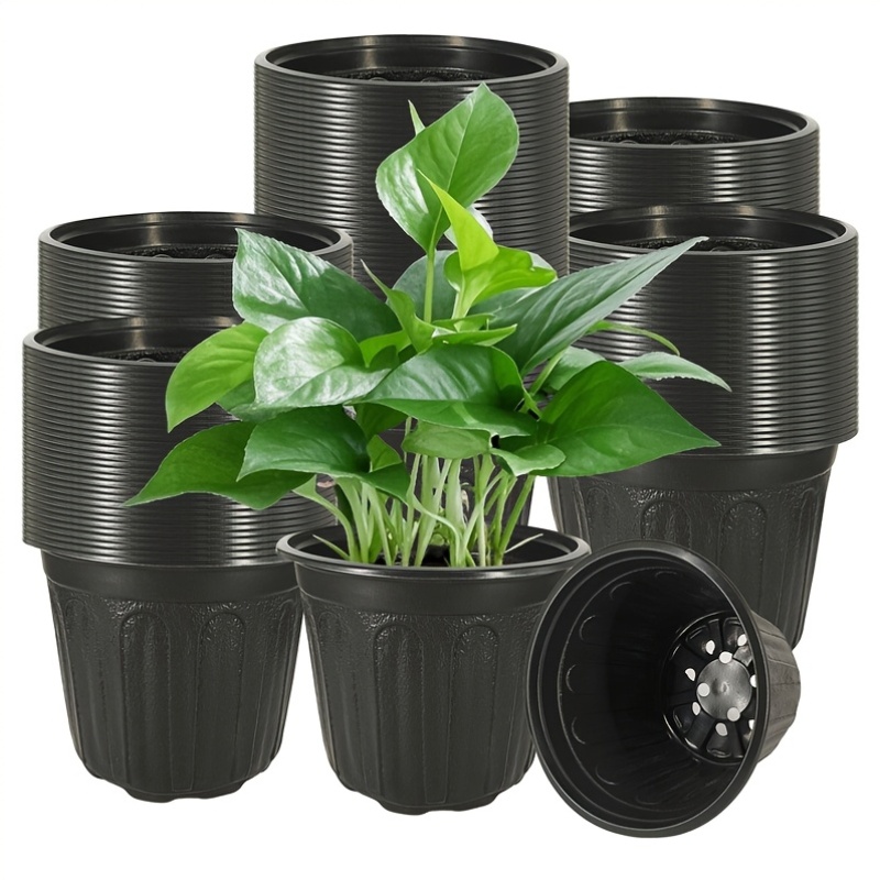 plant and pots sold on Temu United States