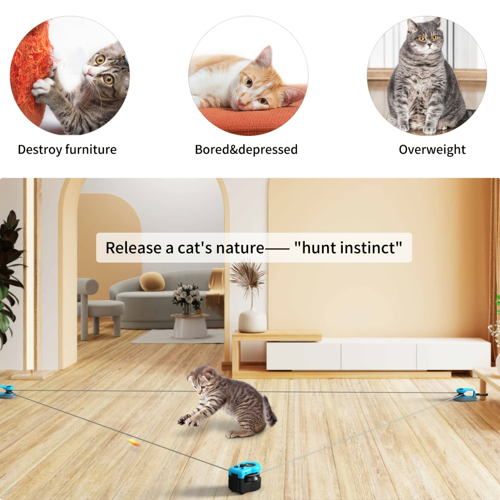 Prevent Boredom Do Indoor Cats Get Bored Cat Interactive Toy