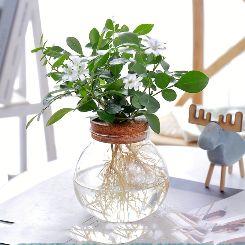 Round Glass Product