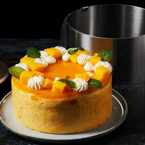 6 12 inch adjustable cake mold round non stick seamless stainless steel mousse ring with handles and restaurant use