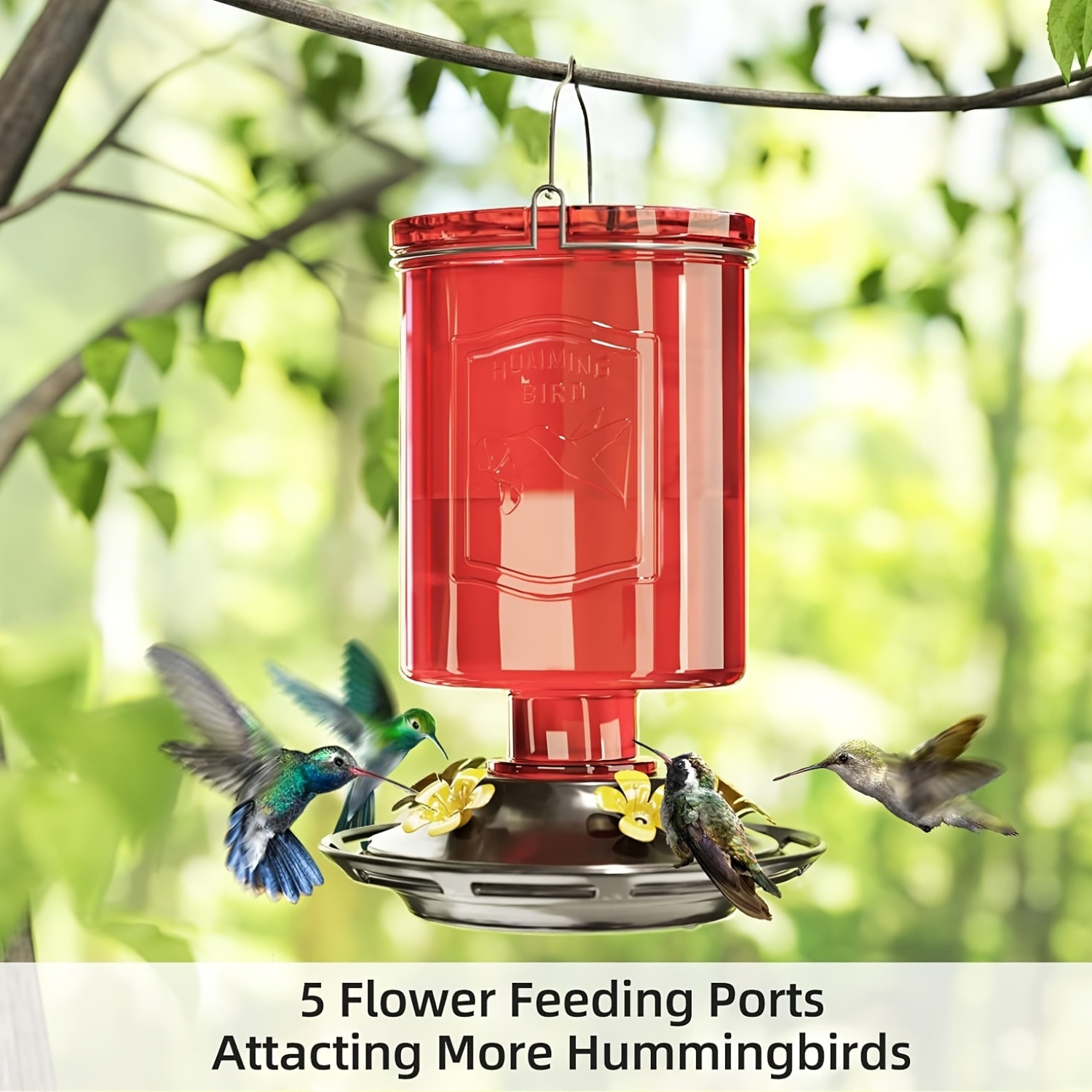 Auslar 21oz Glass Hummingbird Feeder – 5 Port Spiral Bottle 15 bb2b2026f775ec733666325dda8266ff 1750234021028