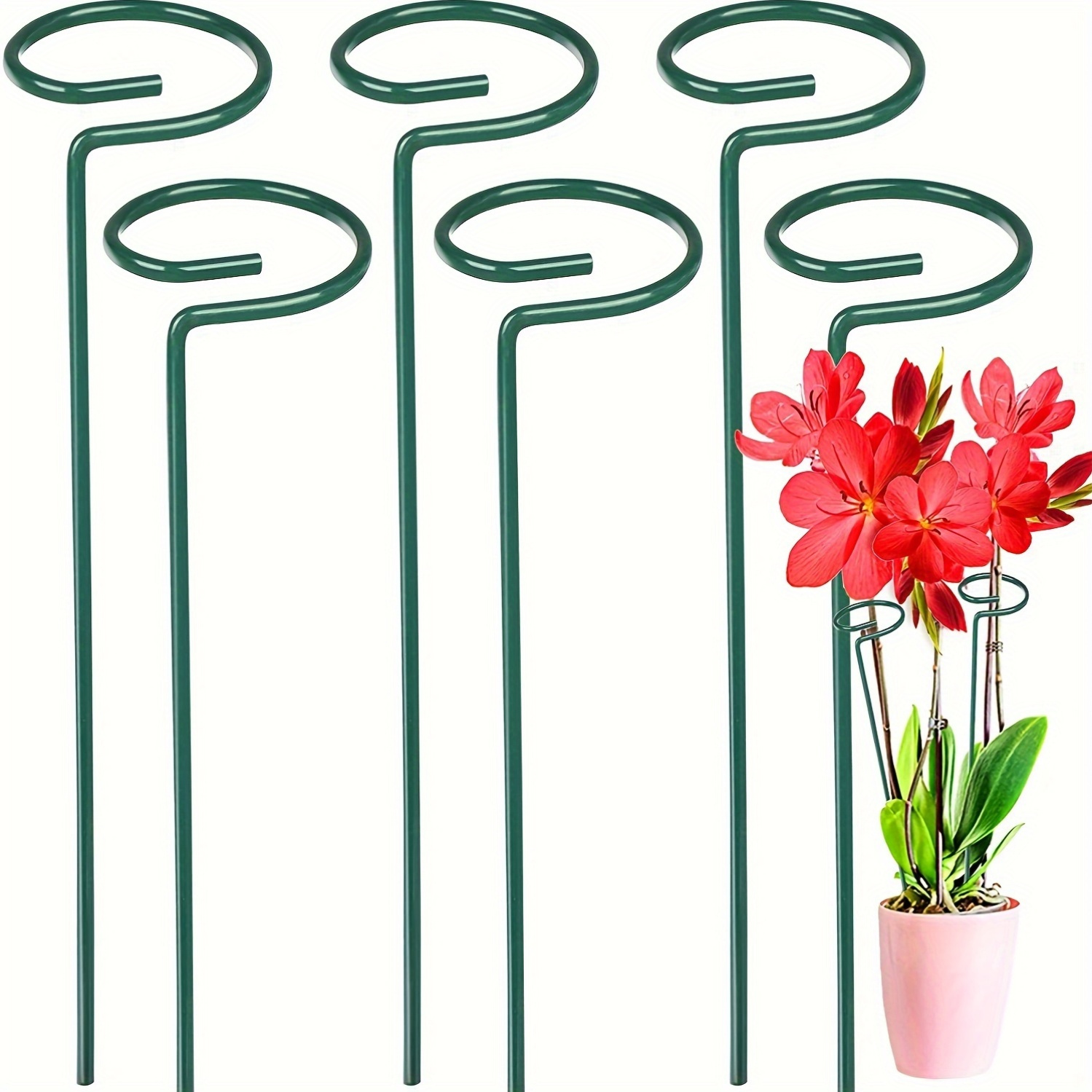 6er-Pack Garten Pflanzensttzen, Garten Metall Einzelstiel Pflanzensttze,  Garten Blumensttze fr Tomaten, Orchidee, Pfingstrose, Rose