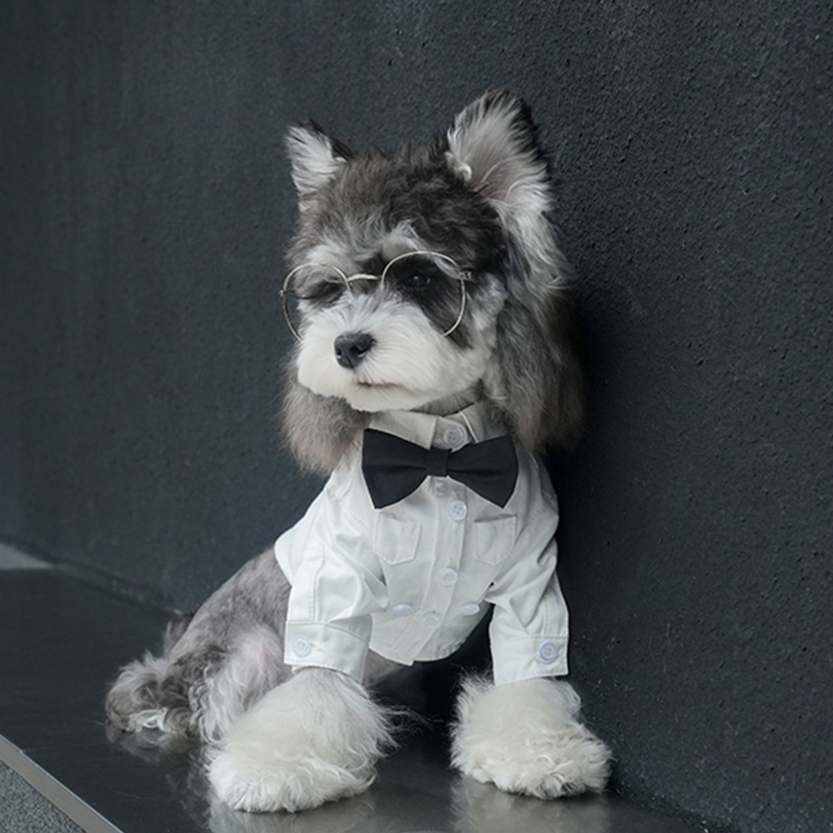 Dog Shirt with Bowtie Legs Cover Dog Suits Pet Gentleman Clothes for  Wedding Party