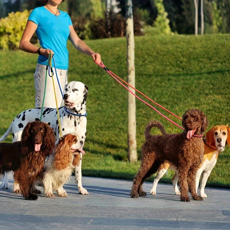 5pcs Heavy-Duty Nylon Dog Training Leash Set